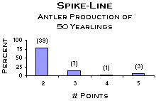 Bar Graph